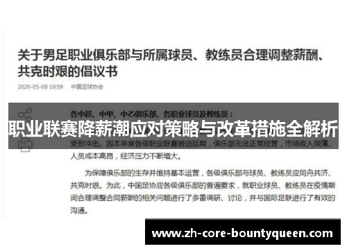 职业联赛降薪潮应对策略与改革措施全解析