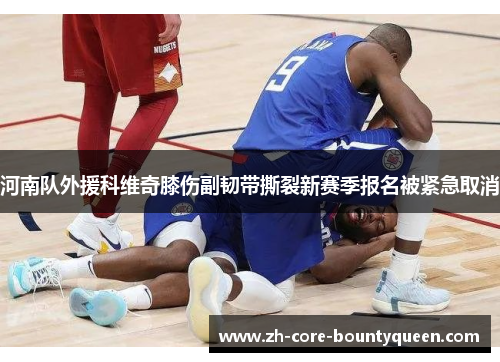 河南队外援科维奇膝伤副韧带撕裂新赛季报名被紧急取消