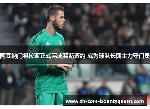阿森纳门将拉亚正式完成买断签约 成为球队长期主力守门员